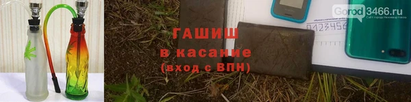 гидра Киренск