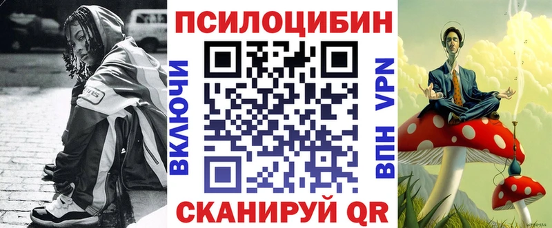 Псилоцибиновые грибы Psilocybine cubensis  Купить где  Будённовск 
